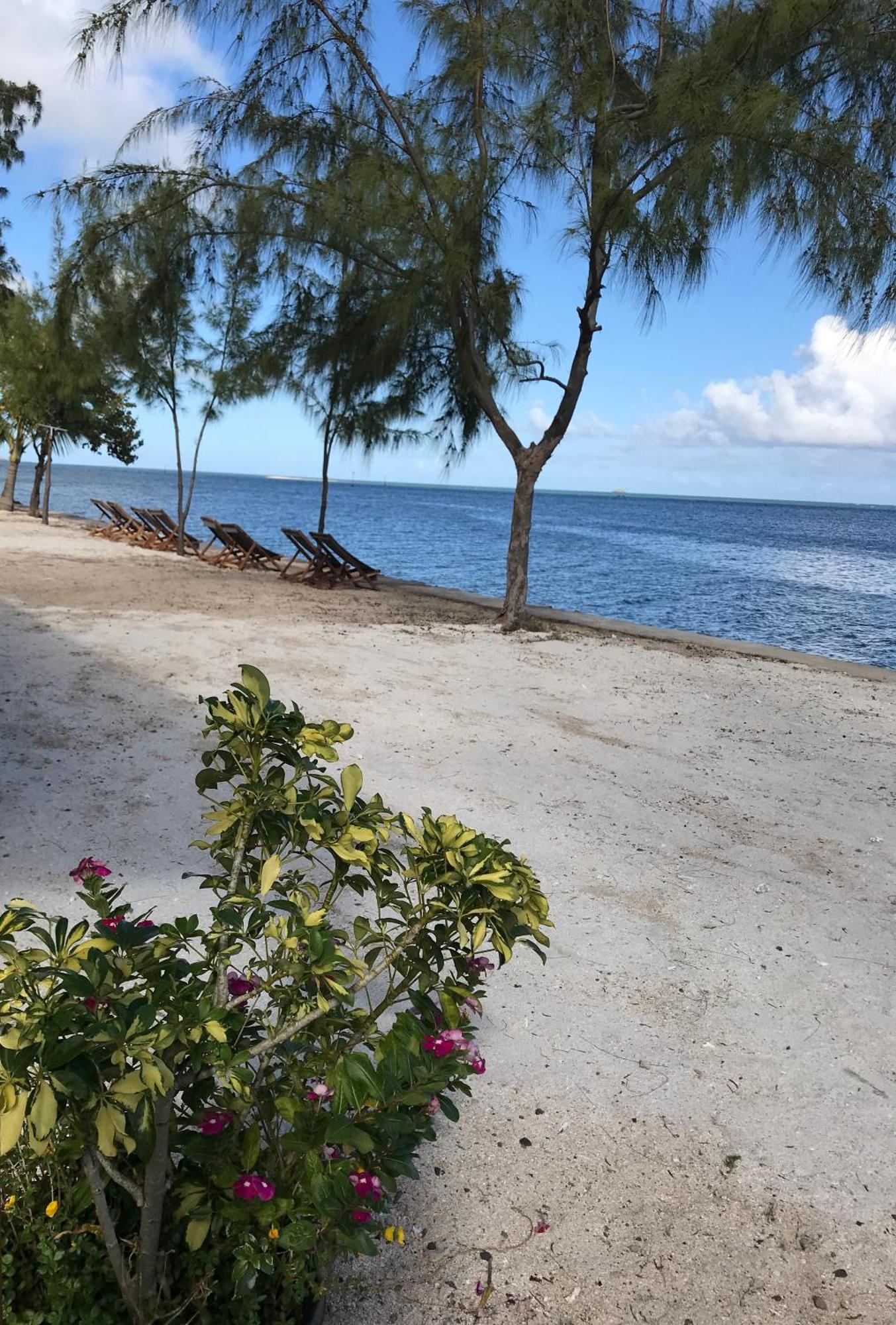 Bon Vivant Front De Mer - Ile Rodrigues Port Mathurin Exterior photo